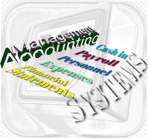 management accounting systems